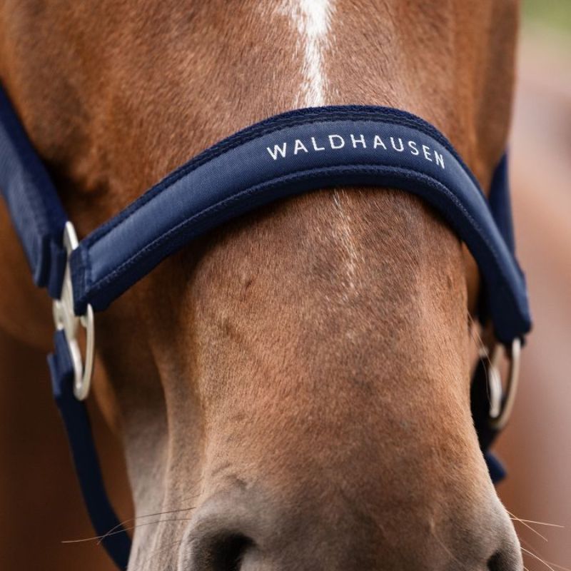 Licol cheval nylon Atheltic Waldhausen bleu pétrole - Le Paturon