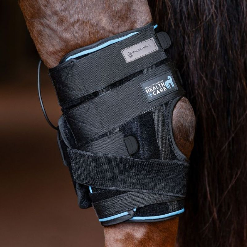Guêtre jarret cheval Health + Care Waldhausen noir - Le Paturon