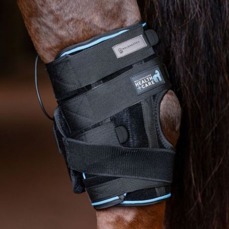Guêtre jarret cheval Health + Care Waldhausen noir - Le Paturon