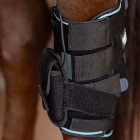 Guêtre jarret cheval Health + Care Waldhausen noir - Le Paturon