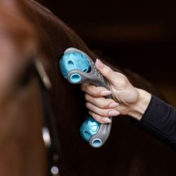 Rouleau massage cheval Health + Care Relax Roller Waldhausen gris bleu clair - Le Paturon
