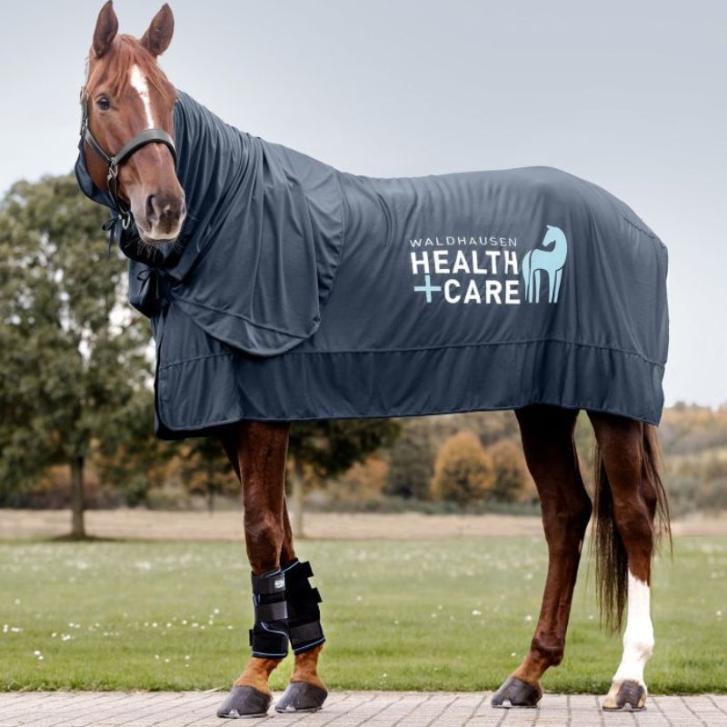 Couvre-cou cheval rafraîchissant Health + Care Ice Layer Waldhausen noir - Le Paturon