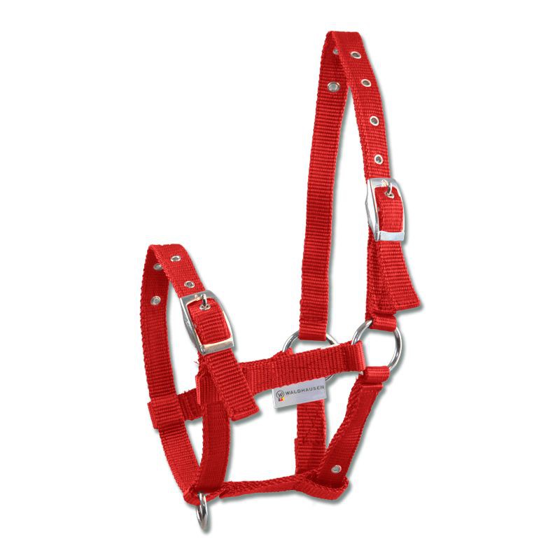 Licol pour poulain Exclusive, réglable sur 3 positions, rouge