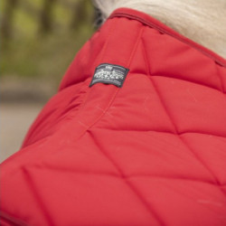 Tapis shetland Prem's Paddock Sports Rouge - Le Paturon