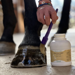 Huile pour sabot Nutri Pied Nutragile - Huile sabot cheval hydratante et nourrissante 500ml - Le Paturon