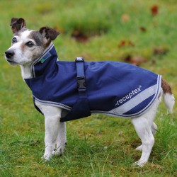 manteau chien