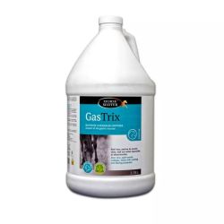 Gastrix Horse Master - Protection ulcère cheval recharge 3,8L - Le Paturon