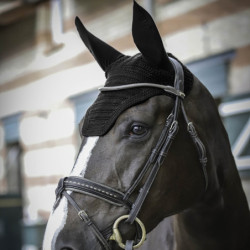 Bonnet anti-mouche cheval Pro Coton Paddock Sports Noir - Le Paturon