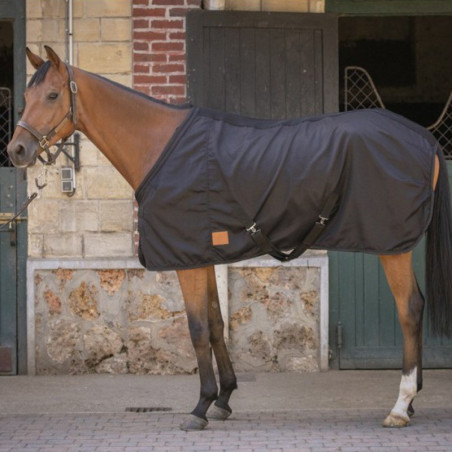 Chemise écurie cheval Light Mesh Paddock Sports Noir - Le Paturon