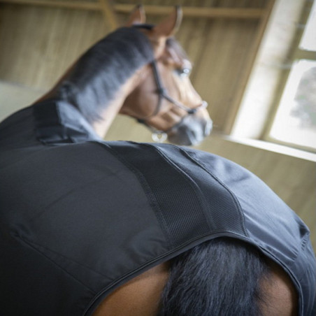 Chemise écurie cheval Light Mesh Paddock Sports Noir - Le Paturon