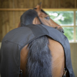 Chemise écurie cheval Light Mesh Paddock Sports Noir - Le Paturon