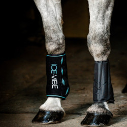 Guêtres cheval thérapeutiques Ice Vibe 2.0 Horseware noir bleu