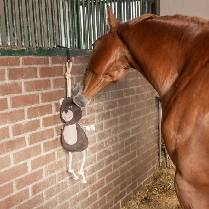 Jouet de box cheval ourson - Le Paturon