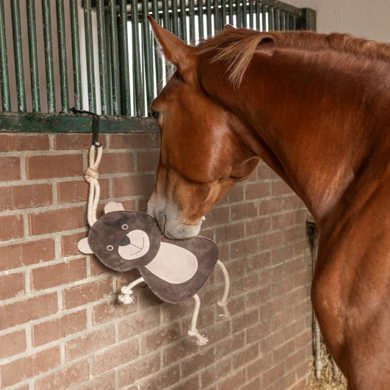 Jouet de box cheval ourson - Le Paturon