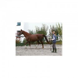 3 Longe à tourner polypropylène 7,5 m : Longe cheval - Le Paturon