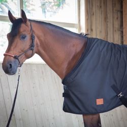 Chemise écurie cheval Rip-stop Paddock Sports Noir - Le Paturon