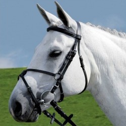 1 Bridon cheval cuir muserolle mexicaine Mexico city,Star,Bridon cheval
