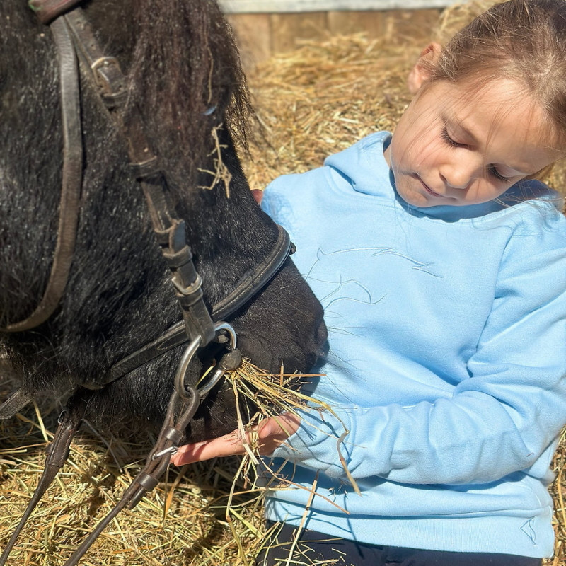Sweat équitation enfant unisexe à capuche Kevin Staut Collection bleu ciel - Le Paturon