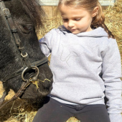 Sweat équitation enfant à capuche Kevin Staut Collection gris - Le Paturon