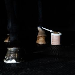 Sabot Soin Alodis Care - Baume sabot cheval