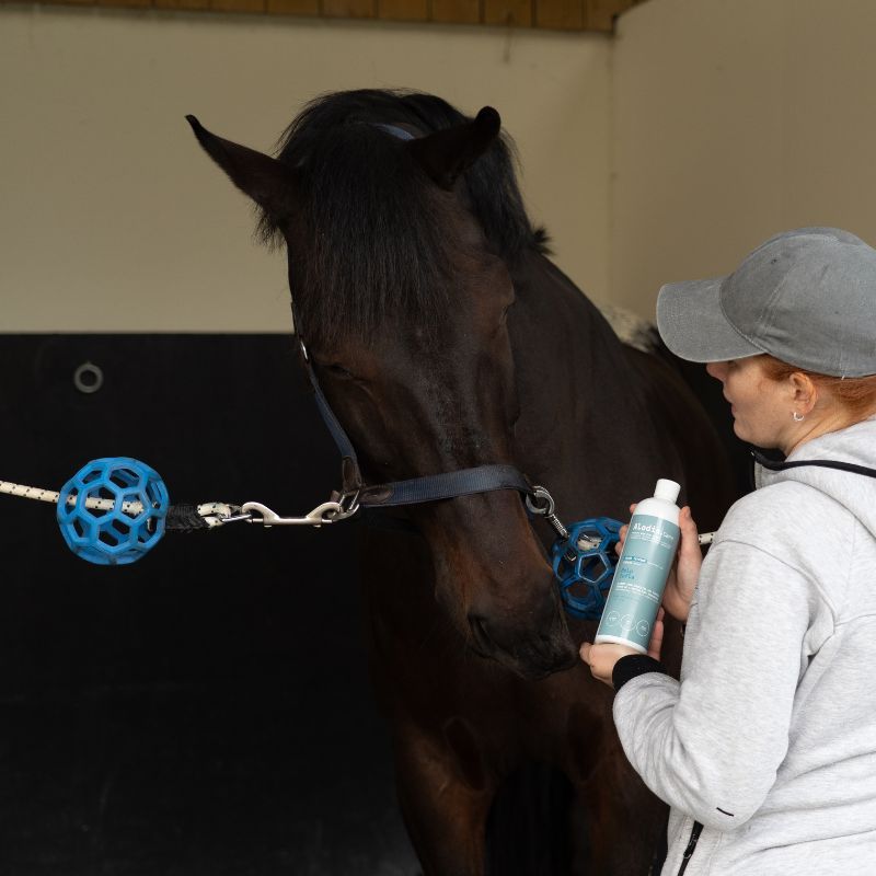 Help Infla Alodis Care - Complément articulation cheval 500ml - Le Paturon