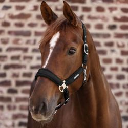 Licol cheval Breath Waldhausen noir - Le Paturon