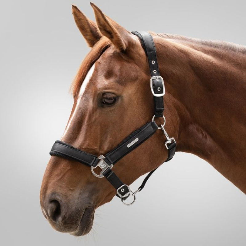 Licol cheval Breath Waldhausen noir - Le Paturon
