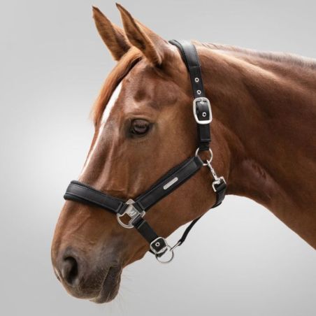 Licol cheval Breath Waldhausen noir - Le Paturon