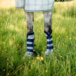 Guêtres anti-mouche anti-uv cheval Newmarket Horseware carreaux bleu