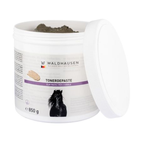 Pâte d'argile verte Relex Waldhausen - Argile cheval 850g - Le Paturon