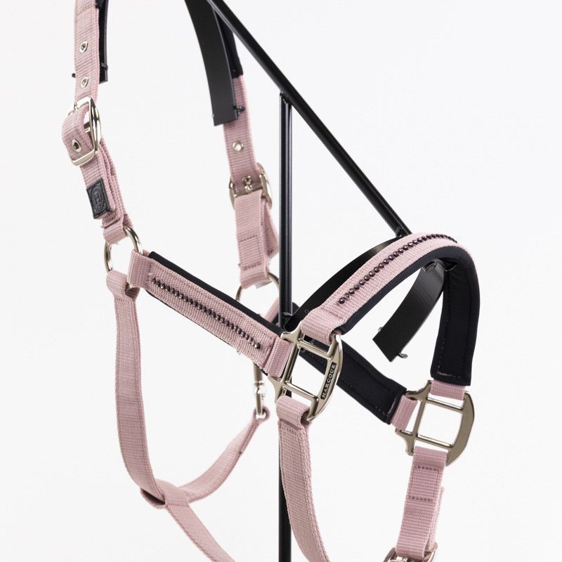 Licol cheval et longe Amour Harcour pivoine - Le Paturon