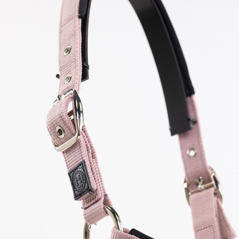Licol cheval et longe Amour Harcour pivoine - Le Paturon