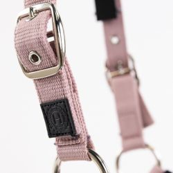 Licol cheval et longe Amour Harcour pivoine - Le Paturon