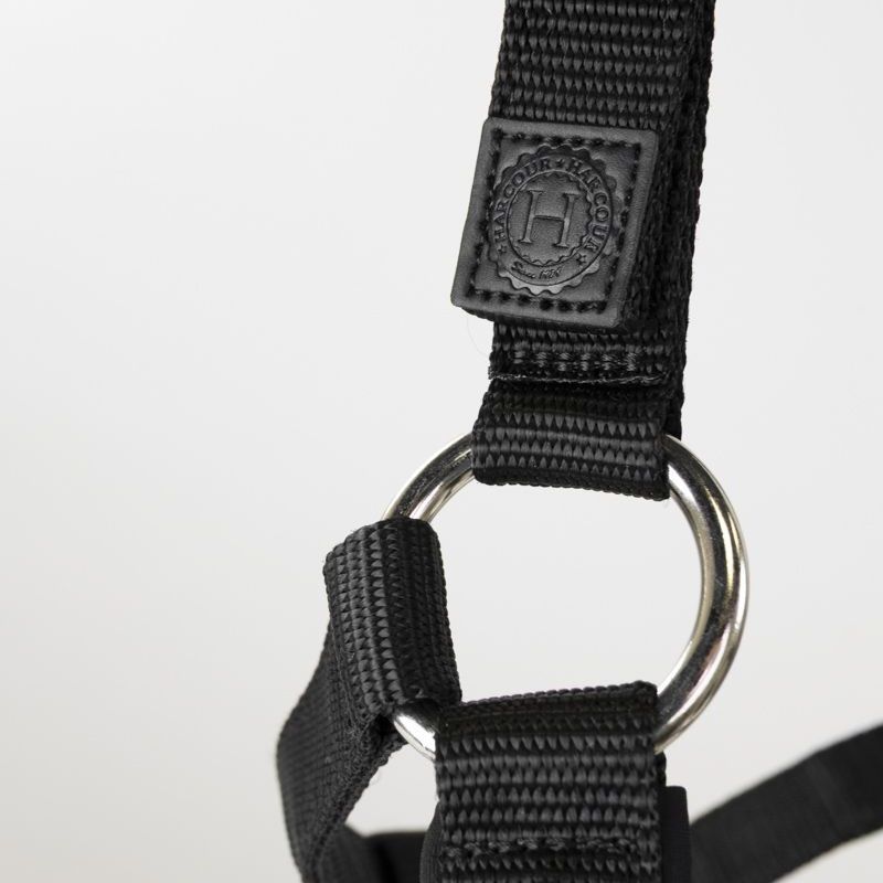 Licol cheval et longe Amour Harcour noir - Le Paturon