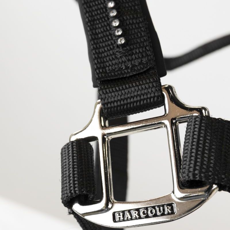 Licol cheval et longe Amour Harcour noir - Le Paturon