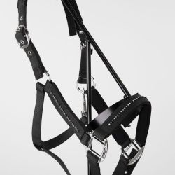 Licol cheval et longe Amour Harcour noir - Le Paturon