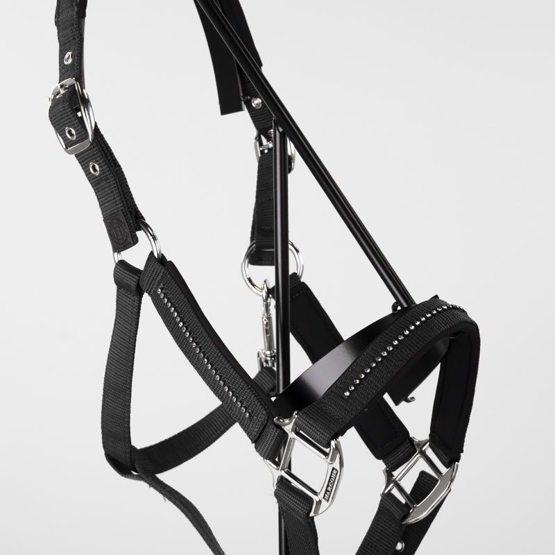 Licol cheval et longe Amour Harcour noir - Le Paturon