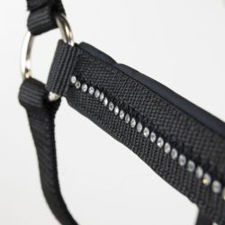 Licol cheval et longe Amour Harcour noir - Le Paturon