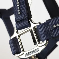 Licol cheval et longe Amour Harcour marine - Le Paturon