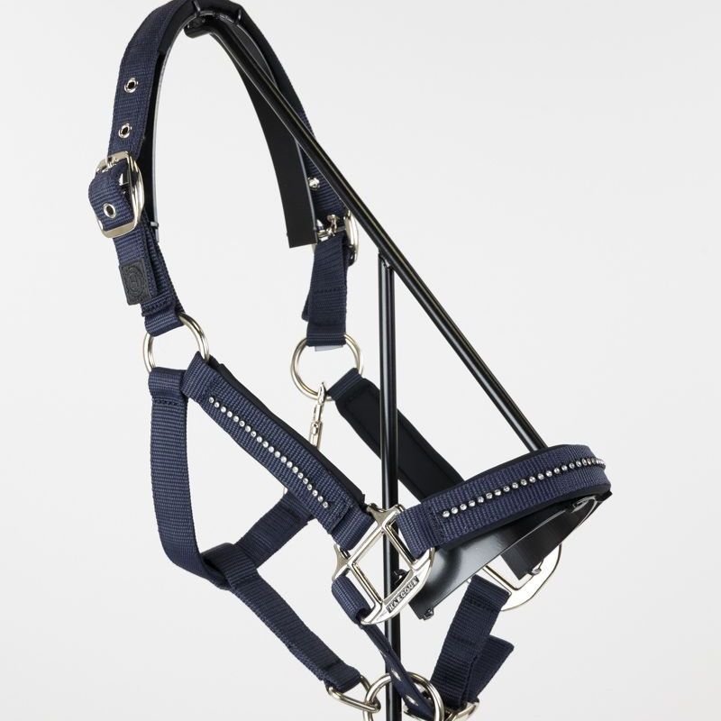 Licol cheval et longe Amour Harcour marine - Le Paturon