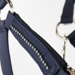 Licol cheval et longe Amour Harcour marine - Le Paturon