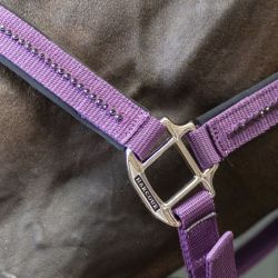 Licol cheval et longe Amour Harcour figue - Le Paturon