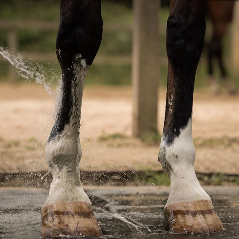 Cataplasme d'argile confort musculaire et articulaire Nellumbo - Argile cheval - Le Paturon