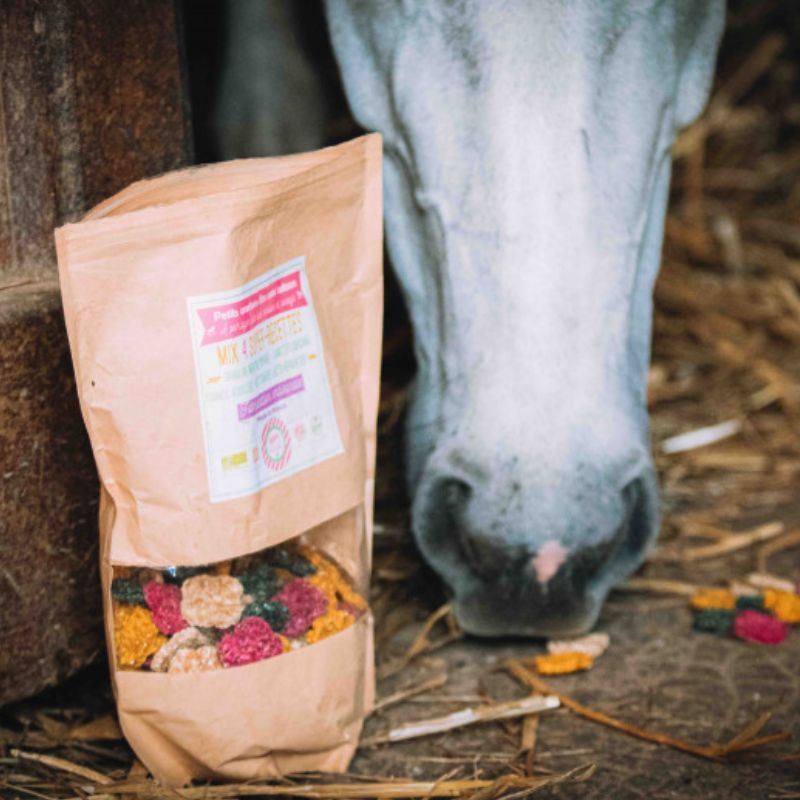 Crackers cheval mix 4 recettes Happy Crackers - Friandises cheval 500g - Le Paturon