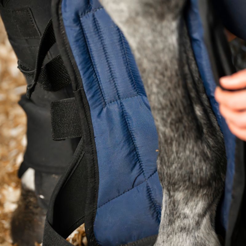 Intérieur guêtres de repos cheval thérapeutiques Ionic Horseware - Le po
