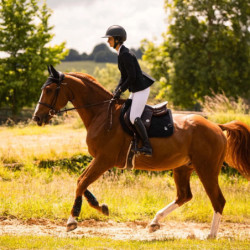 Tapis cheval Spineshield Swarovski Samshield noir - Le Paturon