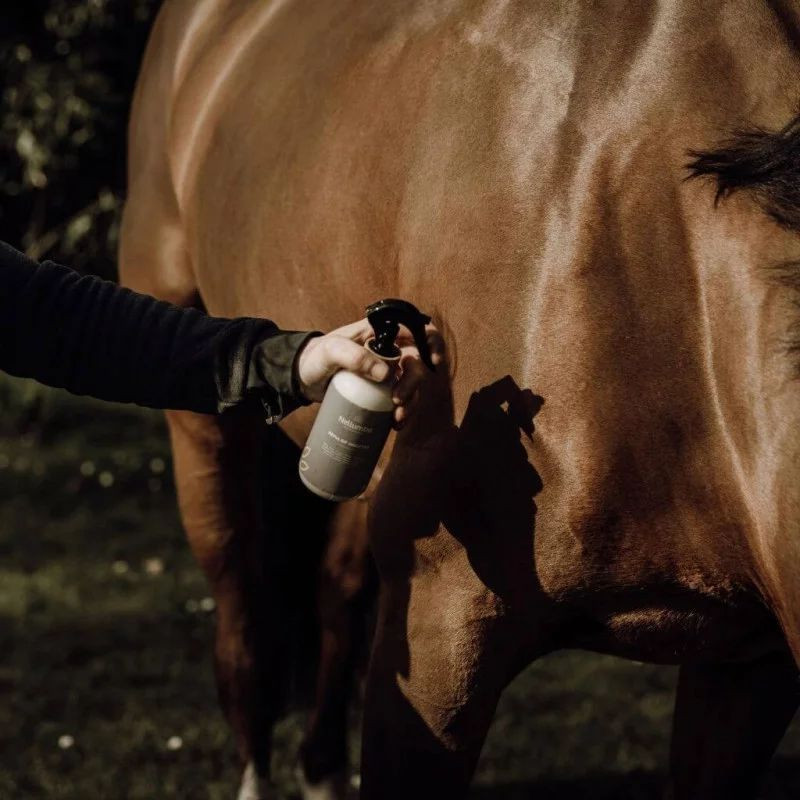 Protect'Insectes pour chevaux Nellumbo - Spray anti-mouche cheval - Le Paturon