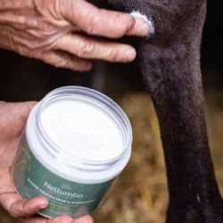 Baume protecteur et hydratant pour chevaux Nellumbo - Baume peau cheval 150ml - Le Paturon
