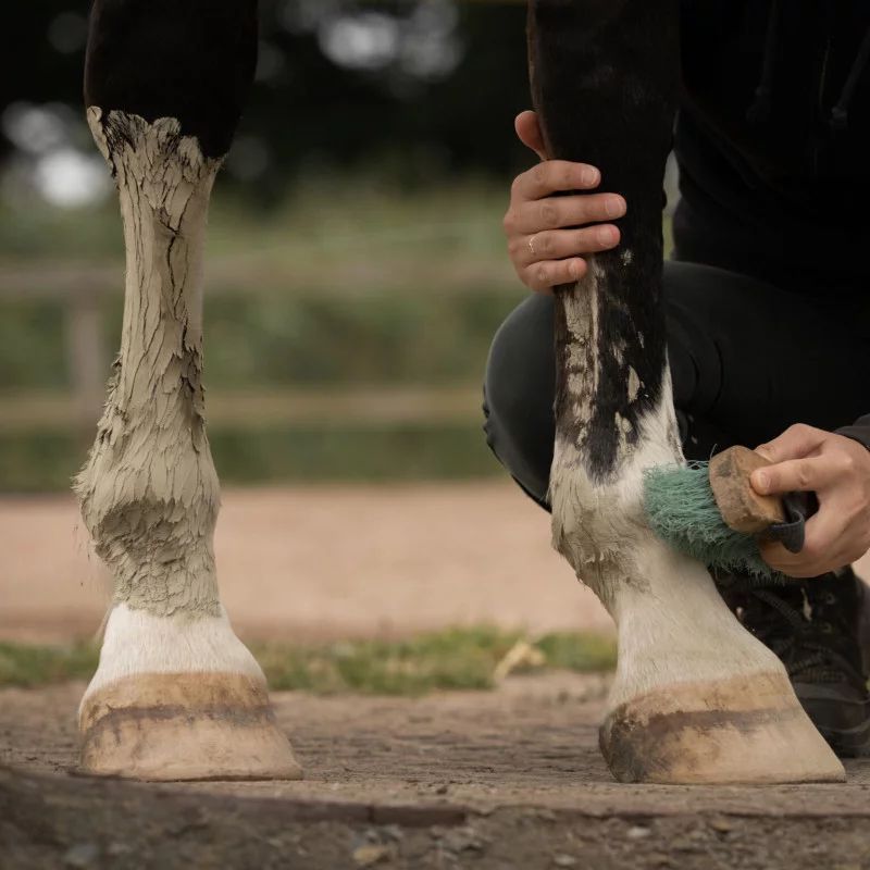 Cataplasme d'argile Drainage & Détox Nellumbo - Argile cheval drainage - Le Paturon