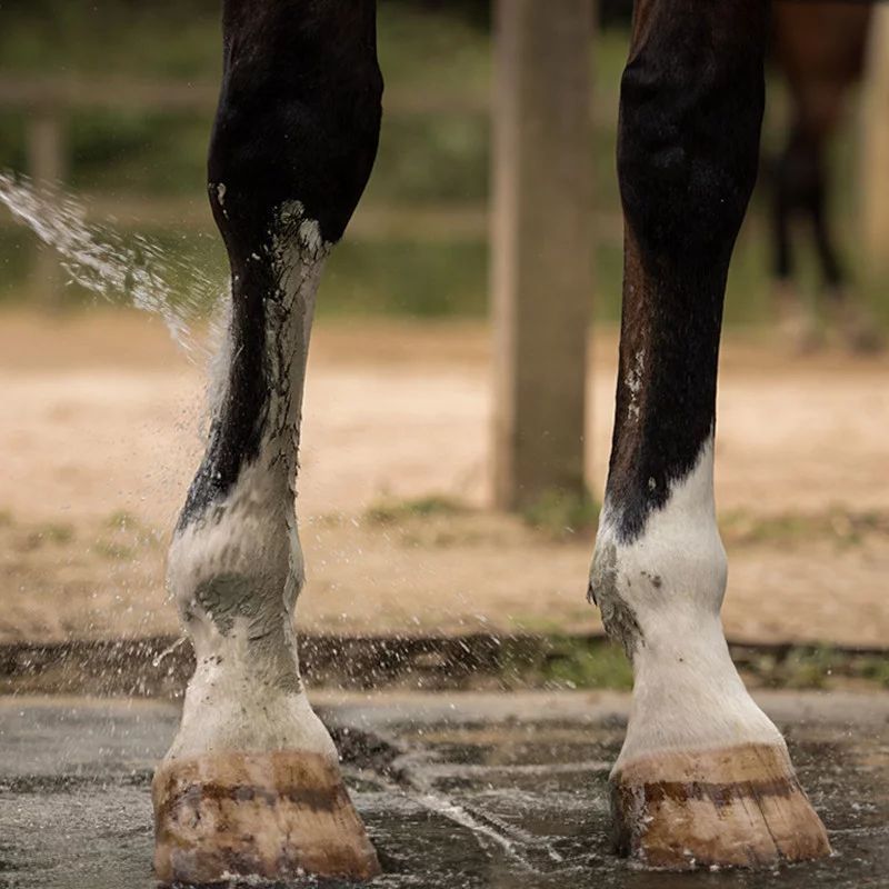 Cataplasme d'argile Drainage & Détox Nellumbo - Argile cheval drainage - Le Paturon